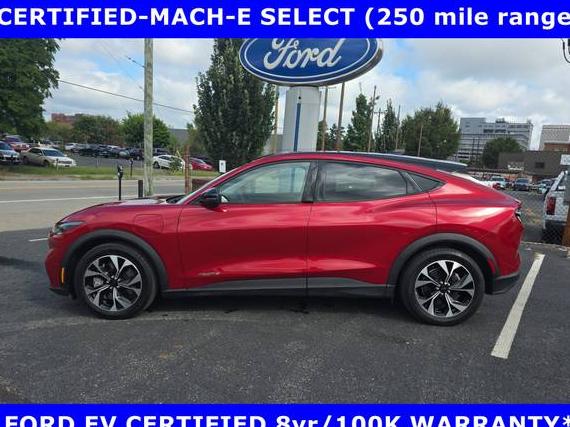 FORD MUSTANG MACH-E 2024 3FMTK1R42RMA08903 image